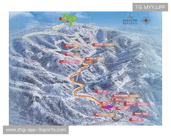 世界高山滑雪季票销售策略与效果分析，高山滑雪排列