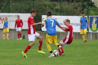 九游娱乐app下载-突尼斯希望进攻套路单一，被对手识破，突尼斯是啥意思